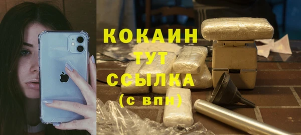шишки Аркадак