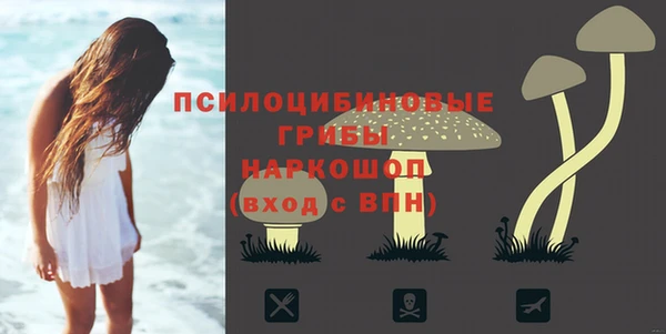 первитин Алексеевка