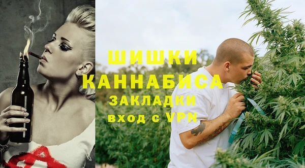 шишки Аркадак