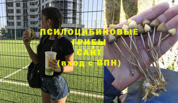 дживик Алзамай