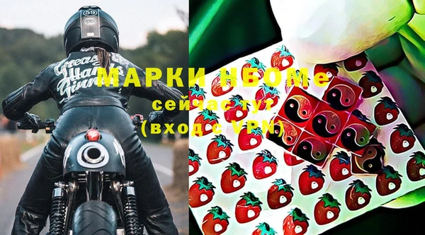 шишки Аркадак